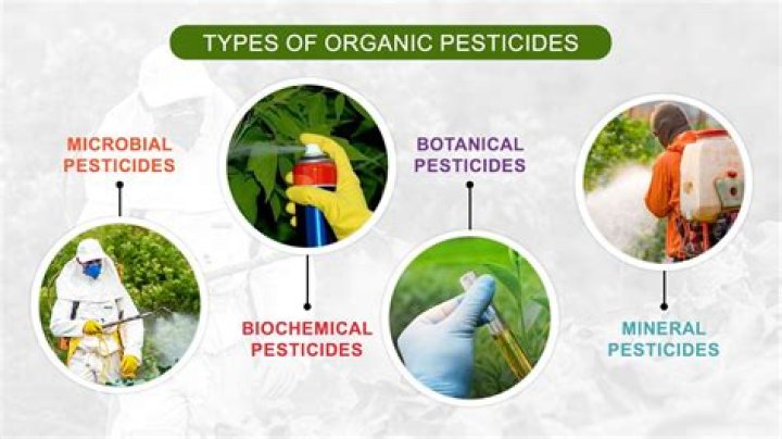 What are some examples of herbicides