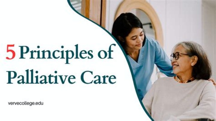 What are the 3 principles of palliative care
