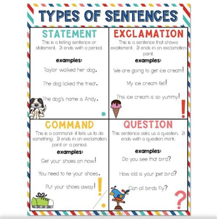 What are the 4 types of paragraph?