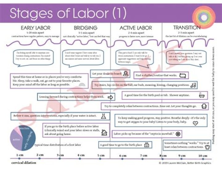 What are the 5 stages of labor