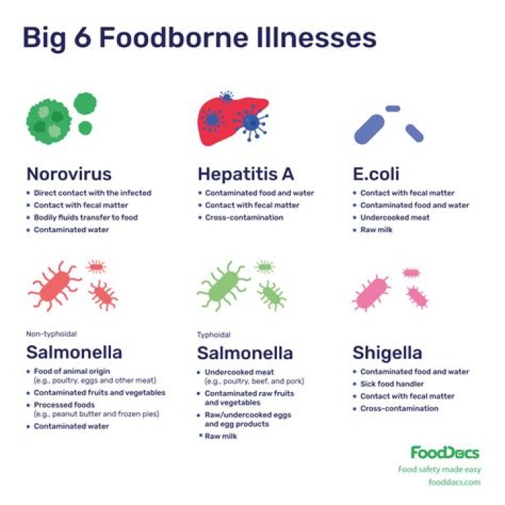 What are the 6 exclusionary illnesses