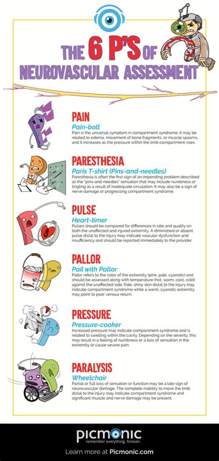 What are the 6 P of neurovascular assessment?