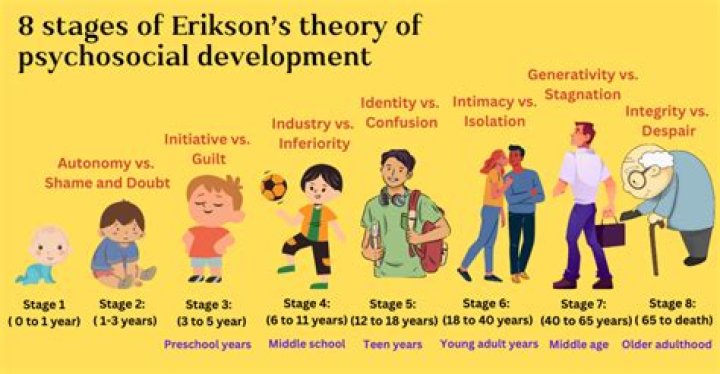 What are the 8 stages of life according to Erikson
