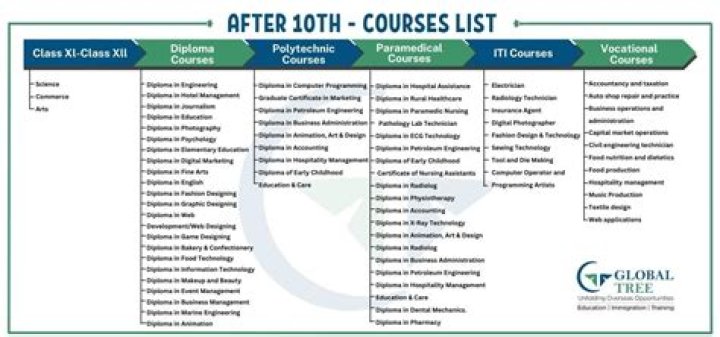 What are the arts courses?