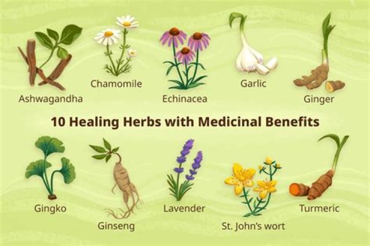 What are the benefits of herbs