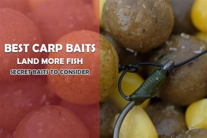 What are the best boilies to use for carp?