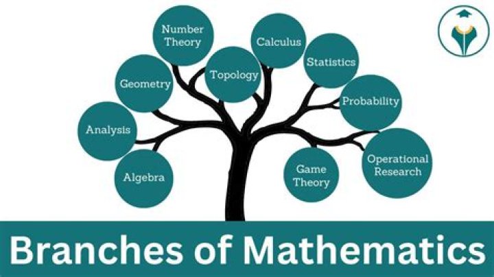 What are the branches of polytechnic?