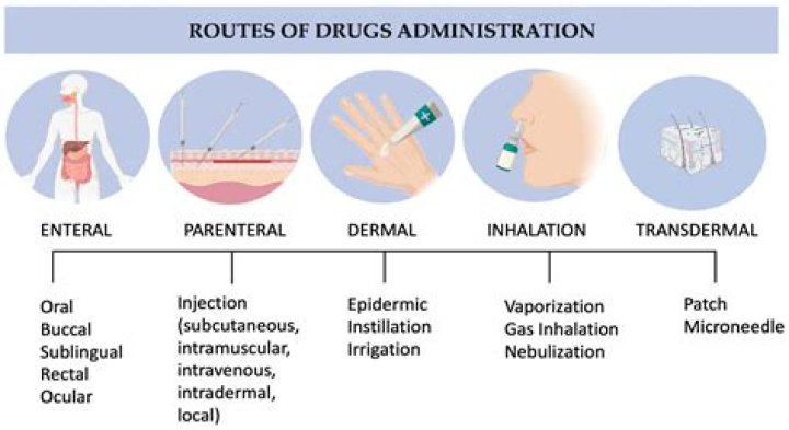 What are the different routes medication can be administered