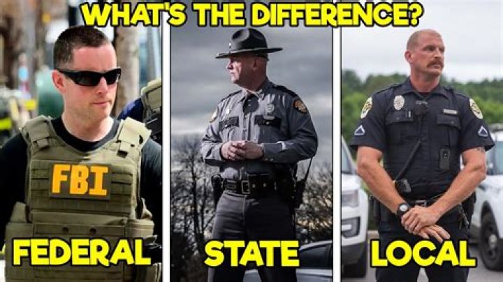 What are the different types of law enforcement in the United States