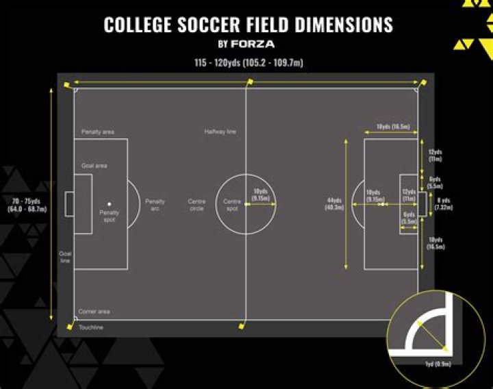 What are the dimensions of a can?