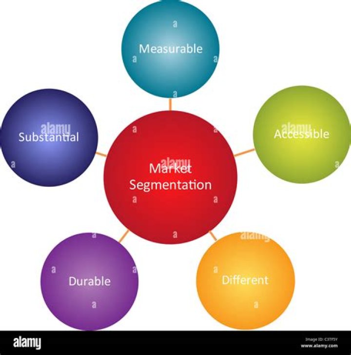 What are the five requirements for effective segmentation?