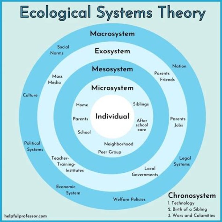 What are the four elements of a system under the systems theory?