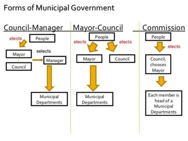 What are the four forms of municipal government?