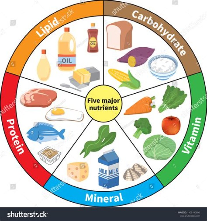 What are the major and minor nutrients