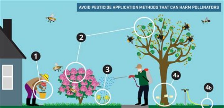 What are the methods of pesticide application?