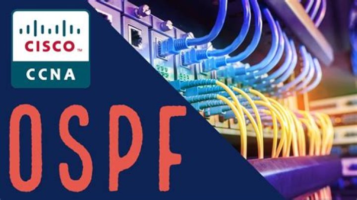 What are the OSPF neighbor states?