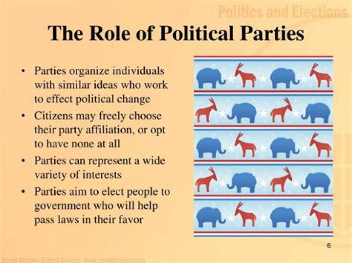 What are the roles of political parties
