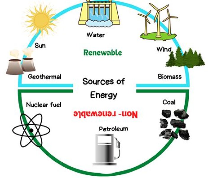 What are the sources of energy in the body?