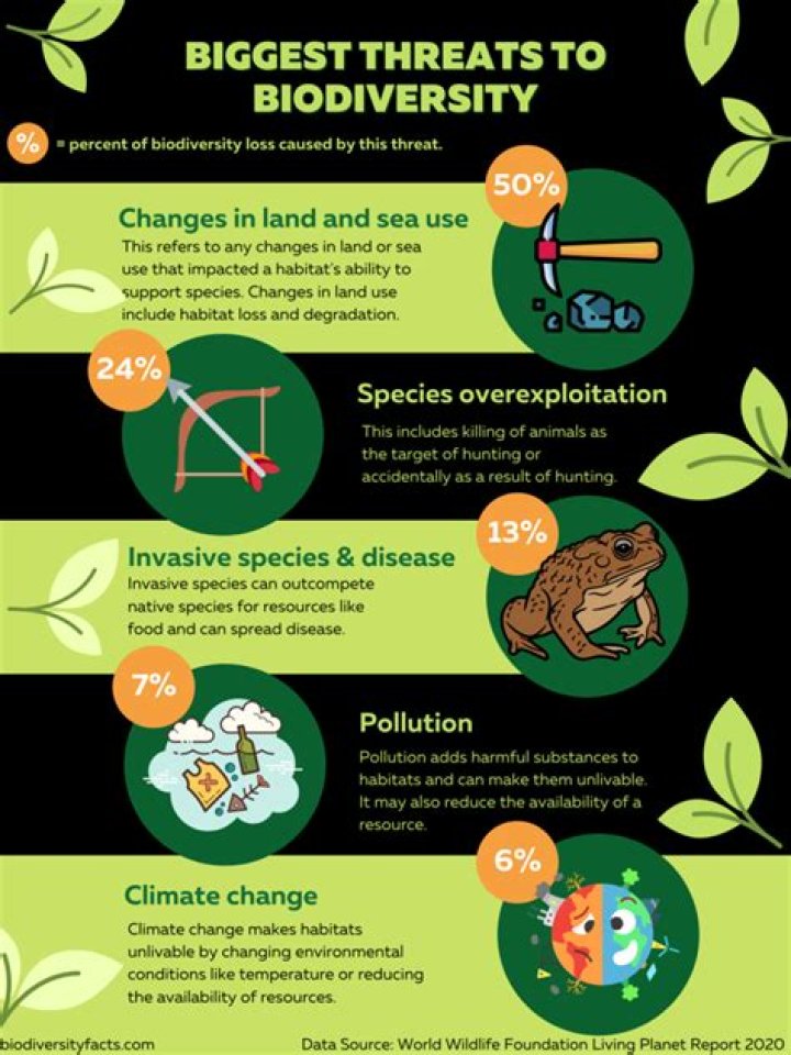 What are the three major threats to biodiversity