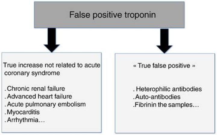 What can cause a false positive troponin