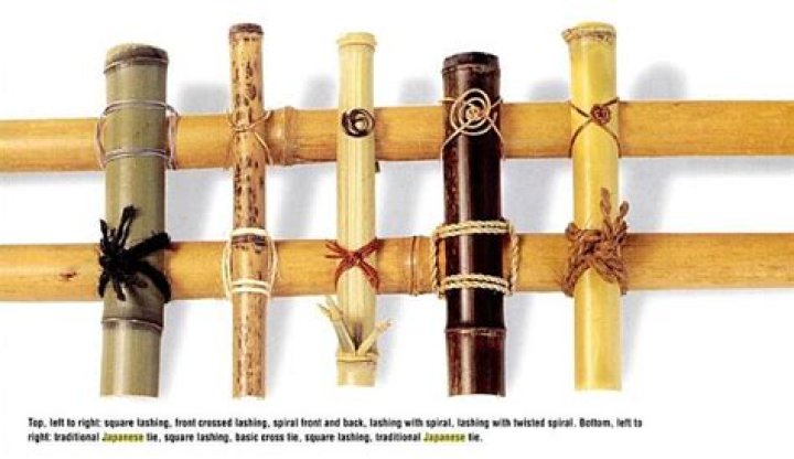 What can I make out of bamboo sticks?