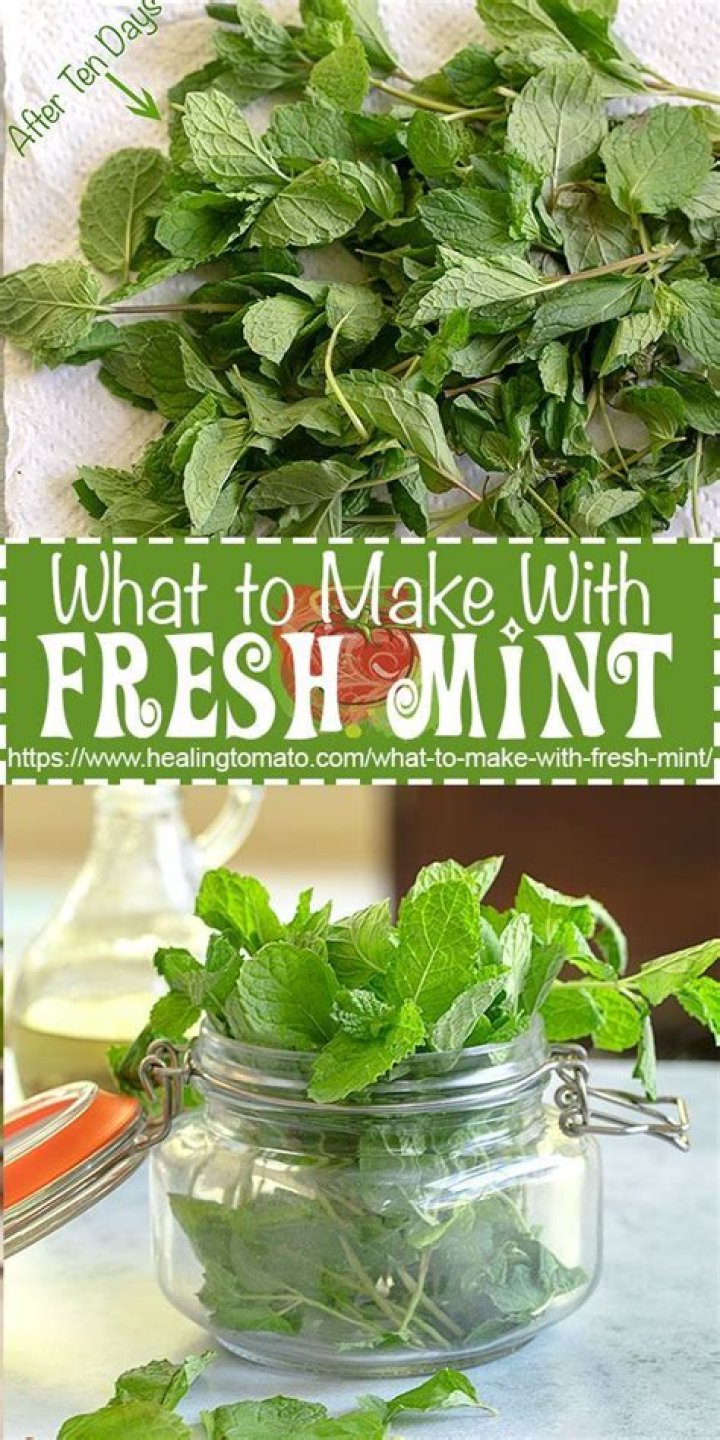 What can I make with fresh mint