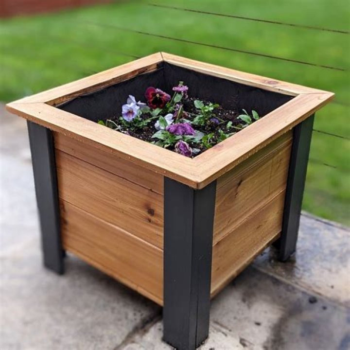 What can I plant in a wooden planter?