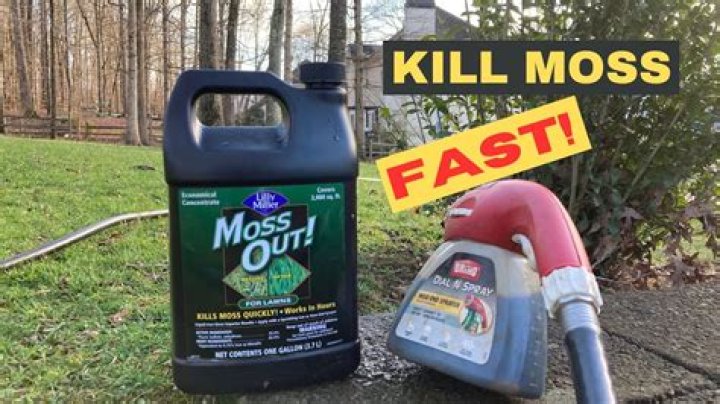 What can I use to kill moss on my driveway