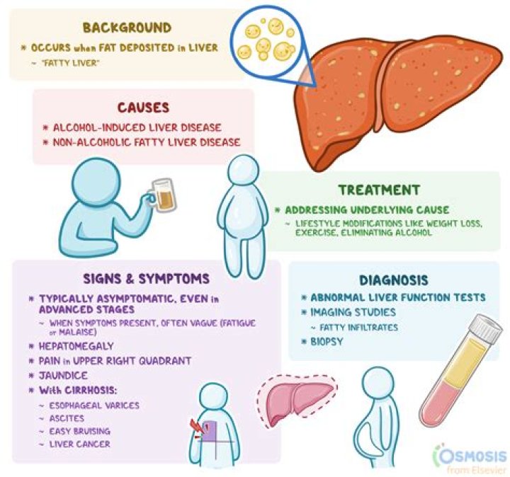 What causes a coarse liver