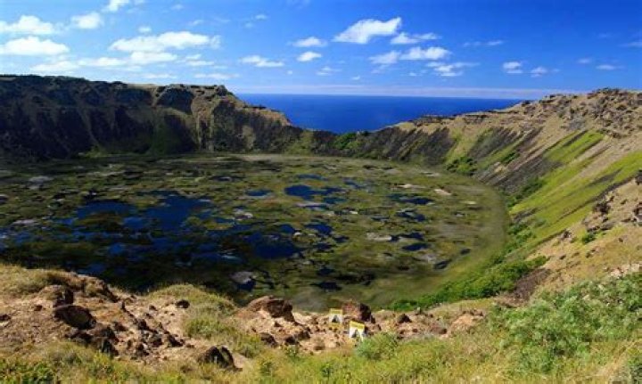What causes deforestation on Easter Island?