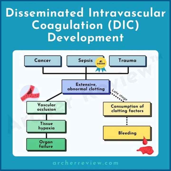 What causes disseminated intravascular coagulation