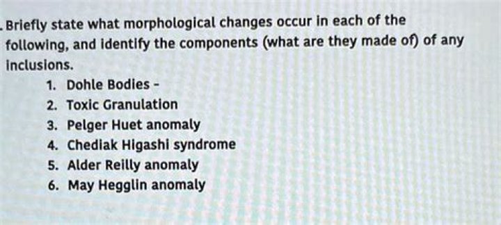 What causes pelger Huet anomaly