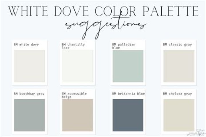 What color is BM White Dove