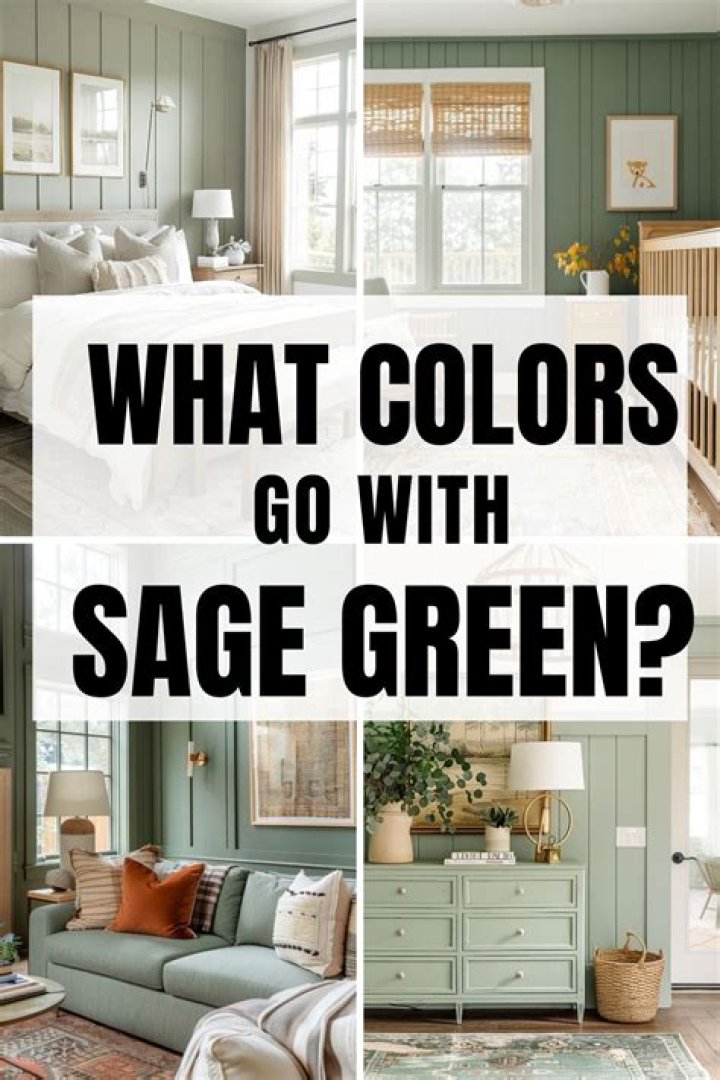 What Colour goes with sage green and GREY