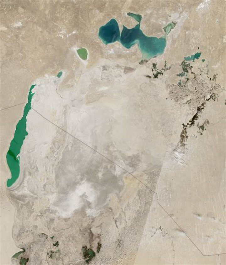What crop is blamed for desertification of the Aral Sea and desertification of Uzbekistan