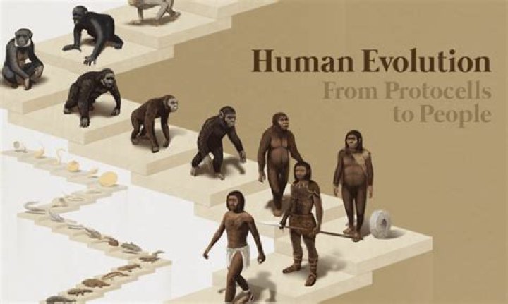 What did the first humans eat