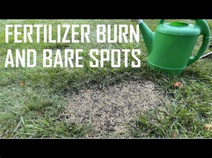 What do you do if you burn your grass with fertilizer