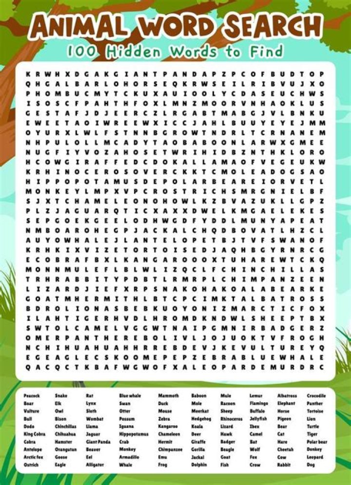 What do you do in word search