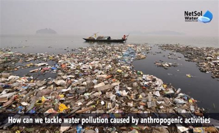 What do you mean by anthropogenic pollution?