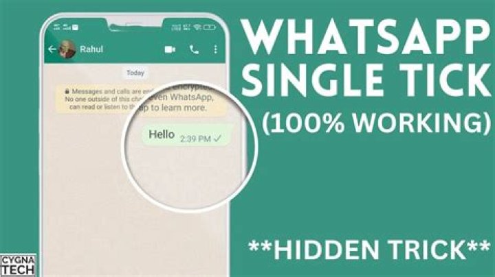 What does 1 tick on WhatsApp mean?