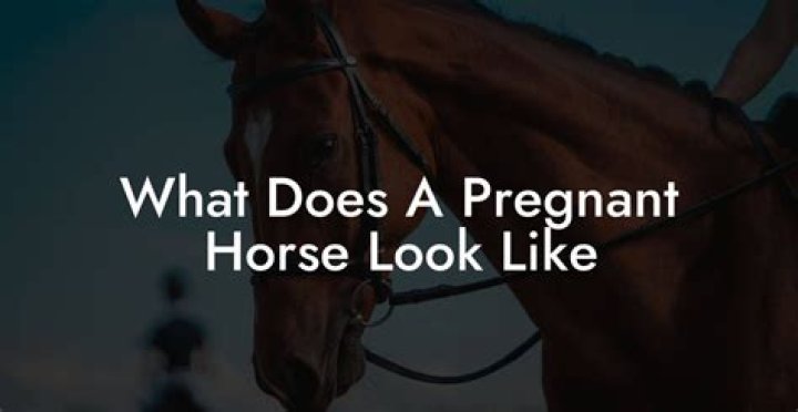 What does a brown horse look like
