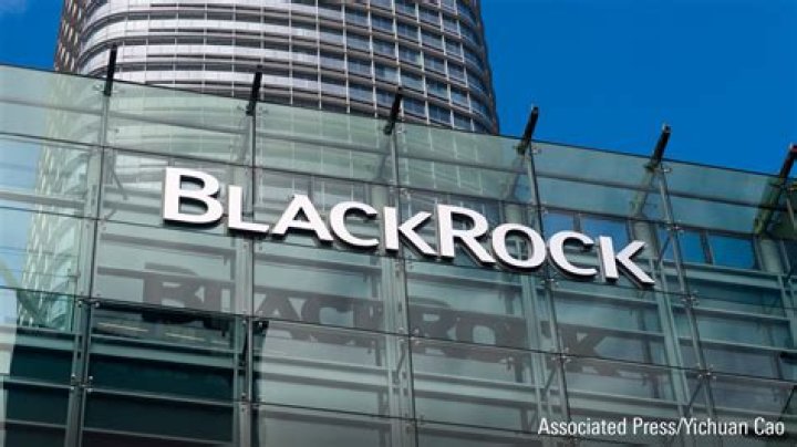 What does a director at BlackRock make?