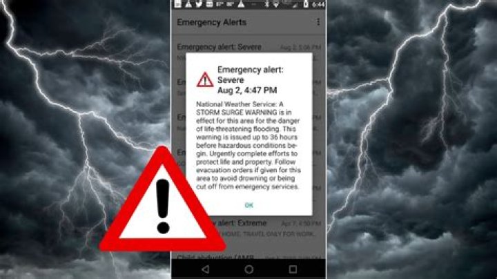 What does a storm warning mean?