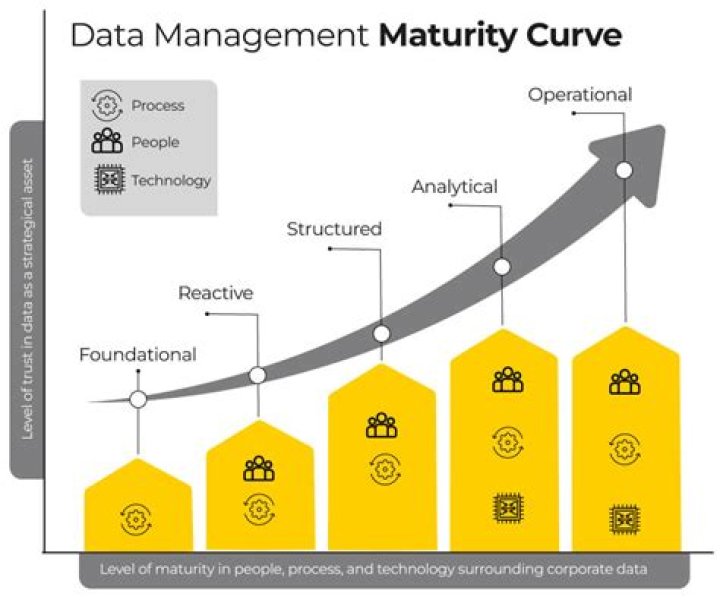 What does data maturity mean