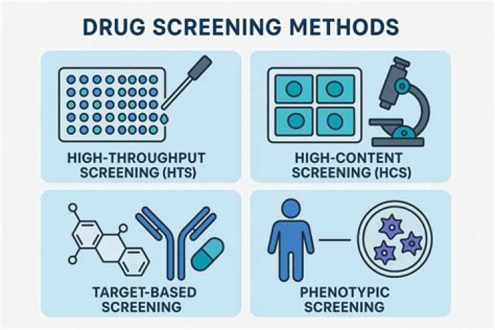 What does drug screening mean?