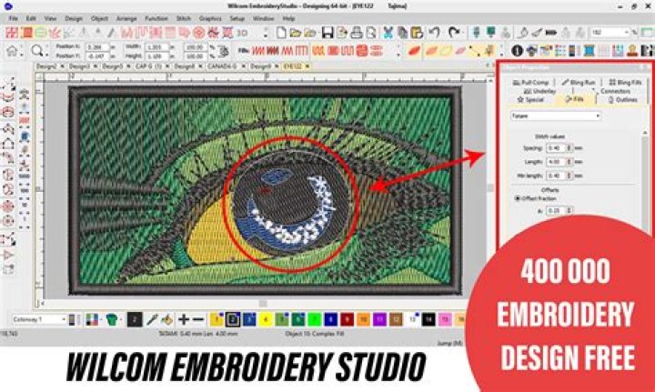 What does embroidery software do