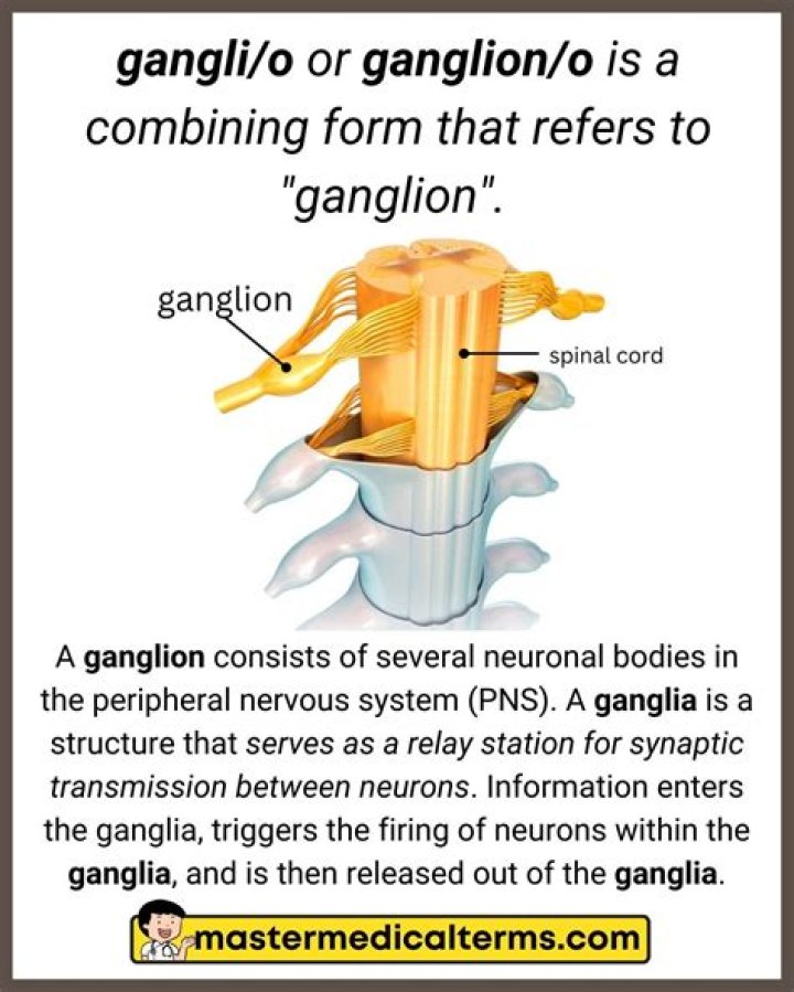What does ganglion mean in medical terms?