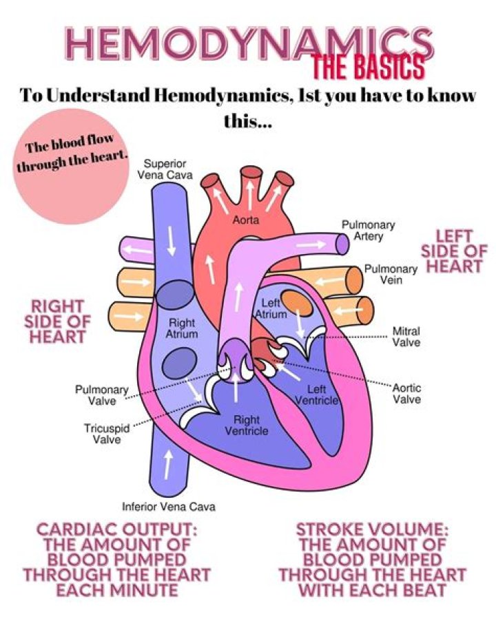 What does hemodynamic status mean?