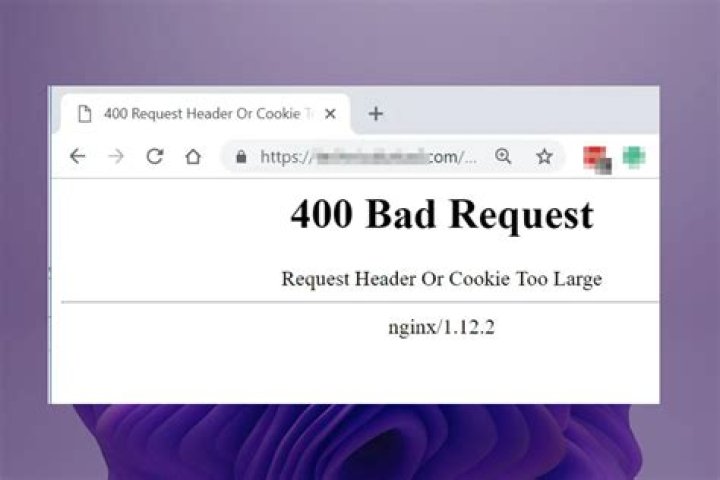 What does HTTP Error 400 the size of the request headers is too long mean?