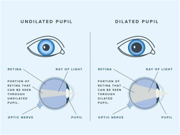 What does it mean when someone's pupils are big when they look at you?